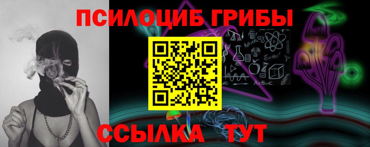 Псилоцибиновые грибы мицелий  Вход с VPN  Киреевск  Галлюциногенные грибы MAGIC MUSHROOMS 