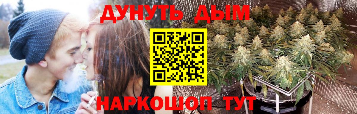Каннабис SATIVA & INDICA Киреевск